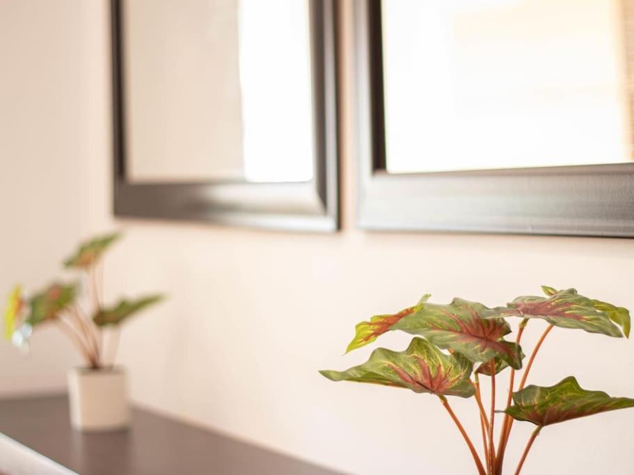 Armilla Apartament